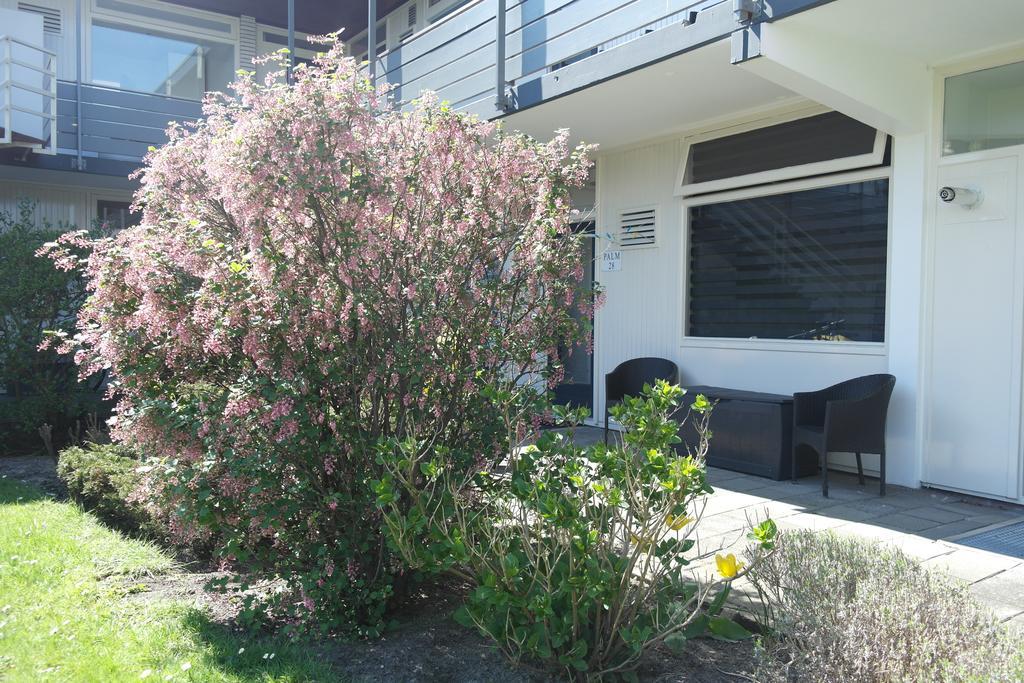 Dijk Appartement *